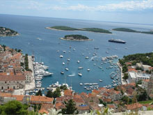 Фото новости