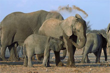 Фото новости