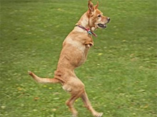 Фото новости