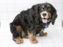 Фото новости